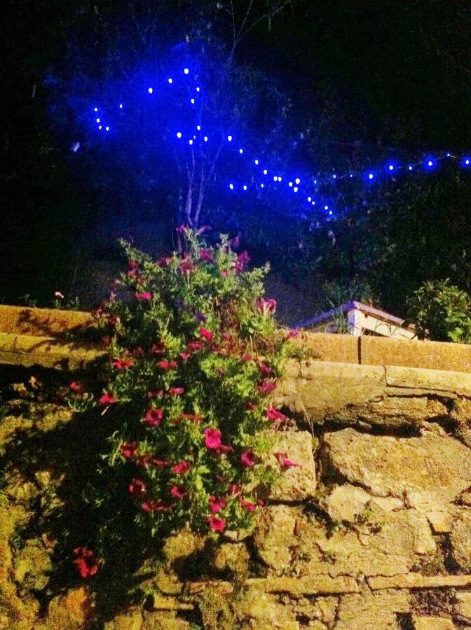 Appartamento Casa Oasi Centro Storico Tuscania Esterno foto