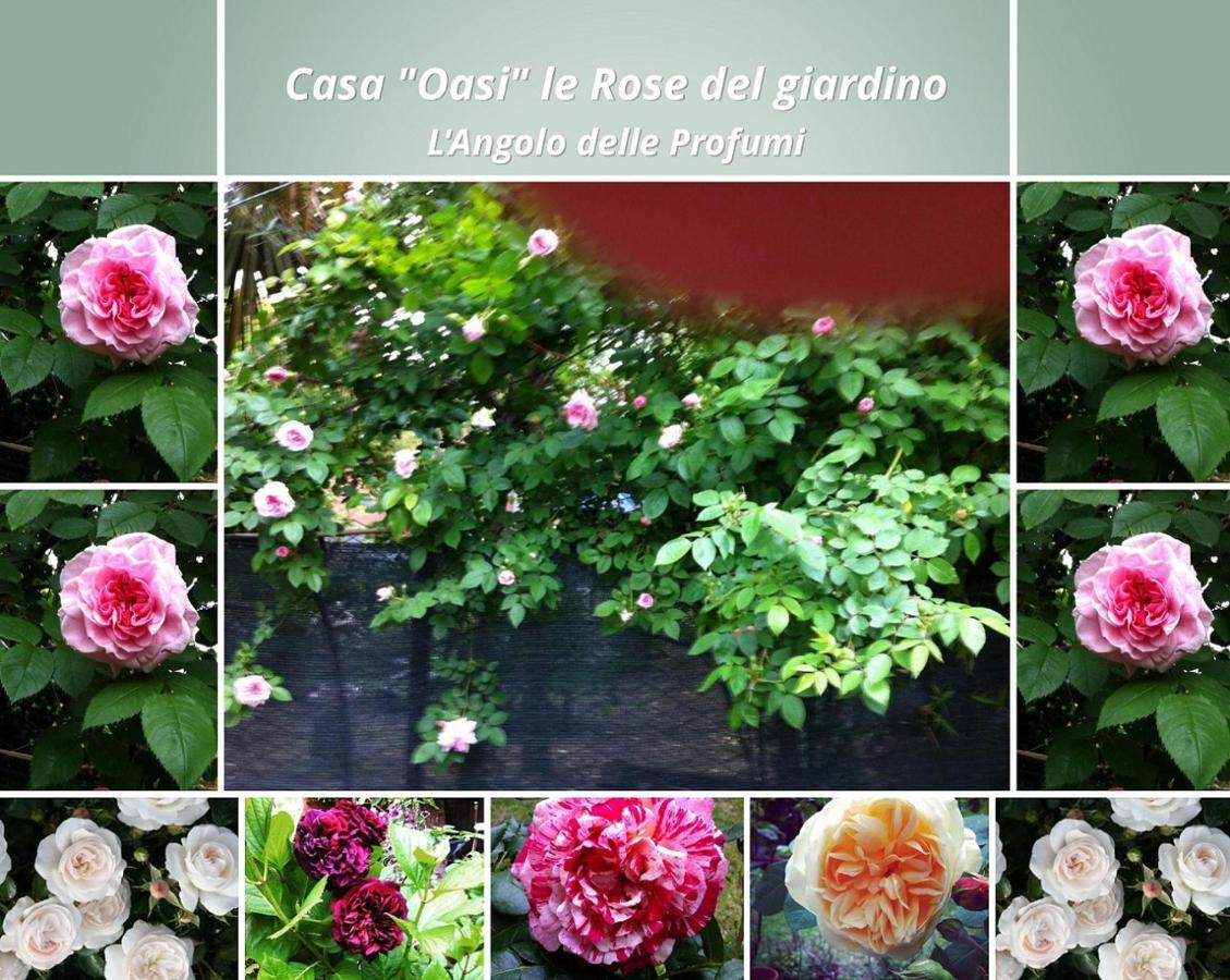 Appartamento Casa Oasi Centro Storico Tuscania Esterno foto